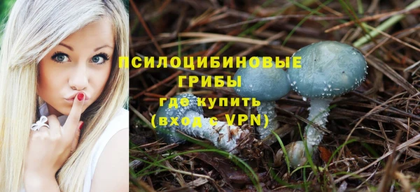 трава Елабуга